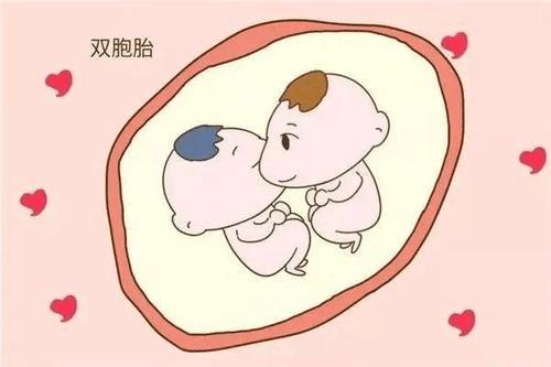 促排卵药物能提高怀孕几率吗促排卵和自然排卵有什么区别(自然受孕双胞胎几率）