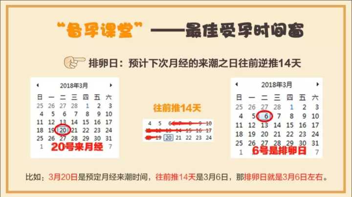 何时排卵受孕最佳时间是什么时候(已排卵还需要同房吗）