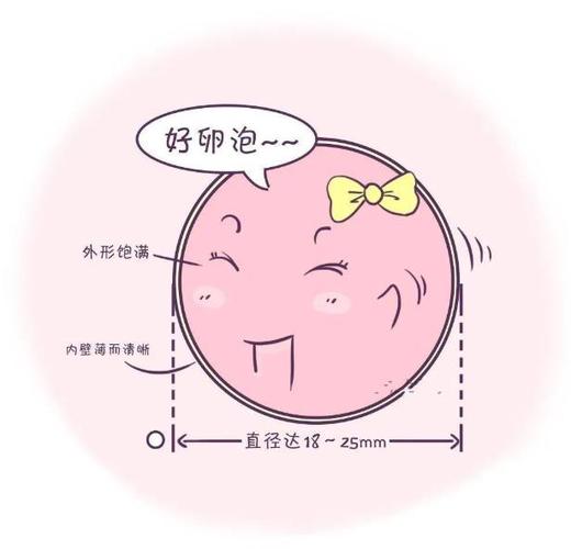 卵泡长得慢能受孕吗(卵泡长得慢会排卵吗）