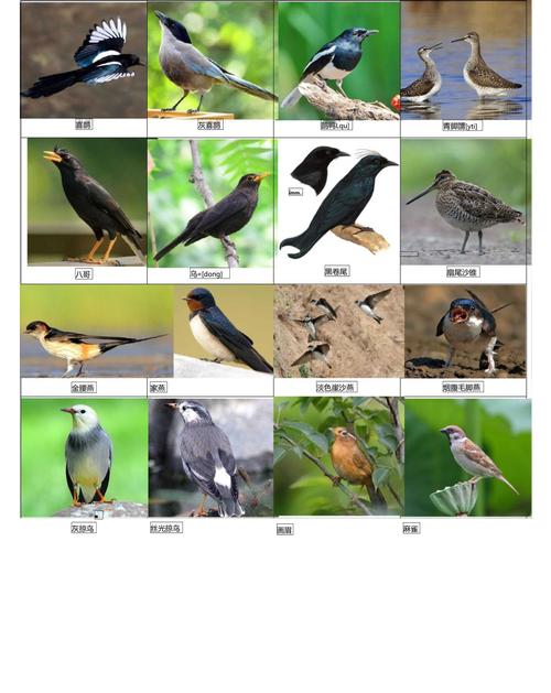 卵巢早哀能自然怀孕吗(27岁卵巢功能下降能调理好吗)