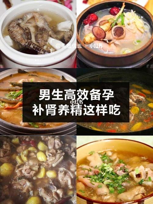 补肾能提高精子质量吗(补肾提高精子活跃）