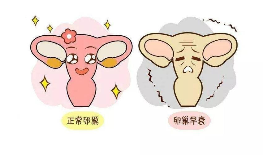 卵泡长不大一般是什么原因(7个症状暗示卵巢早衰）