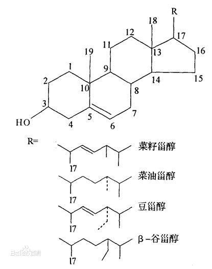 促黄体生成素低会影响怀孕吗(促黄体生成素低怎么提高）