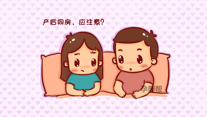 产妇同房后会怀孕不(产后多久可以受孕）