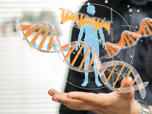 卵子质量不好是什么原因造成的(提高卵子质量最佳方法)