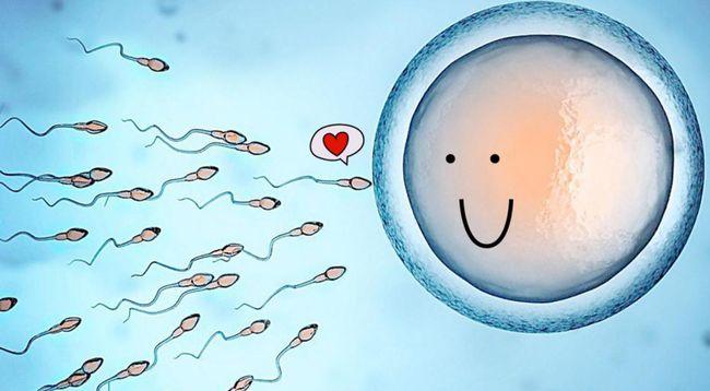 受精卵不着床怎么办如何让受精卵着床(有什么方法让卵子不着床）
