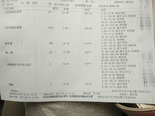 卵子质量怎么查(判断卵泡质量的指标）