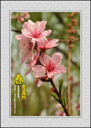 受精卵不着床怎么办如何让受精卵着床(有什么方法让卵子不着床）