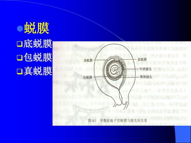 为什么鲜胚不容易着床(试管最难的一关是哪）