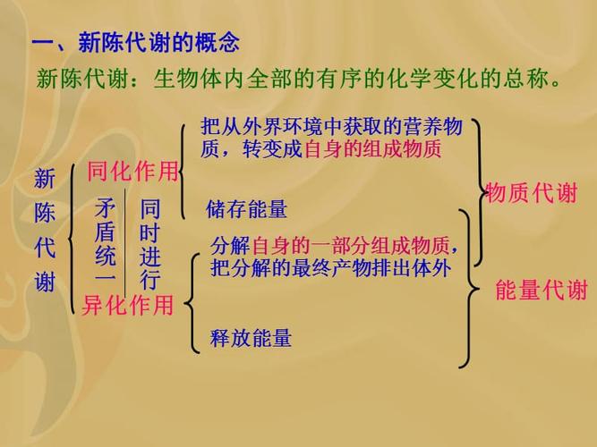 吃什么能让女人不孕(什么东西能让女人不怀孕）