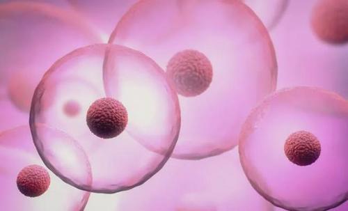 什么样的夫妻适合人工授精人工授精的孩子正常吗(男女都正常做人工授精成功率多少）