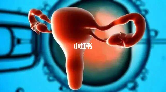 吃什么能提高卵子质量(42岁卵巢早衰试管成功）