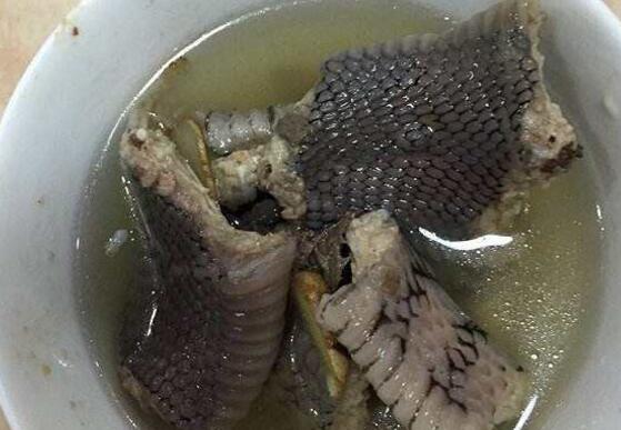 体寒的人可以吃蛇肉吗(夏天吃蛇肉有什么好处)