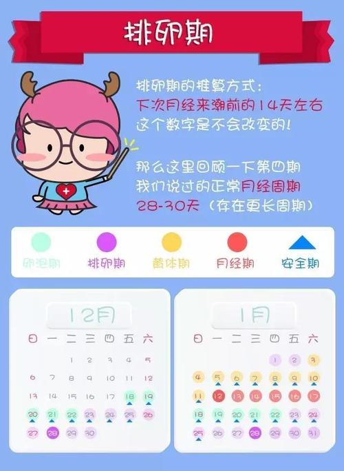 前七后八是安全期还是危险期前七后八是什么意思(排卵期前七后八是指什么时间段）