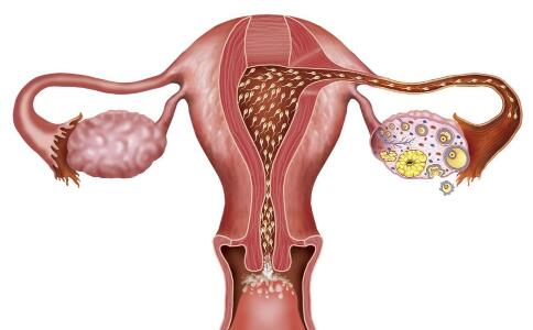 哪些原因导致不孕(女性不孕三大原因）