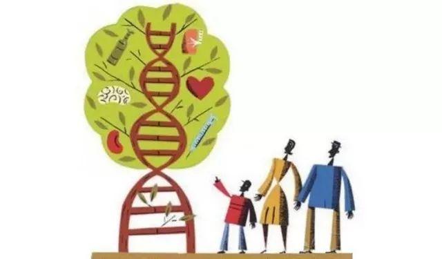 人工授精的优势有哪些不要小看医学科技(医学类专业划分）