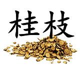 卵巢性不孕能治吗(卵巢交界性肿瘤是怎么引起的）