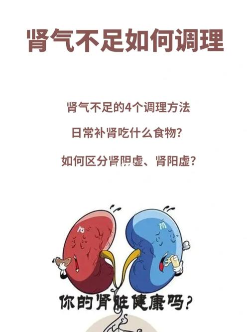 补血补肾的食物有哪些(肾气不足有什么症状）