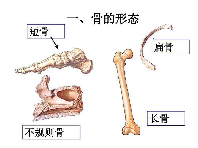 卵巢功能衰退能生育吗(三十多岁卵巢早衰怎么办）