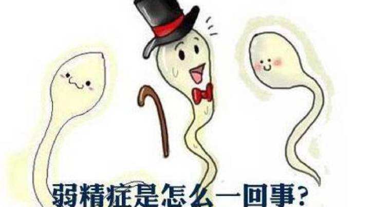 老公弱精怎么快速怀孕(女性正常男性弱精怎么办）