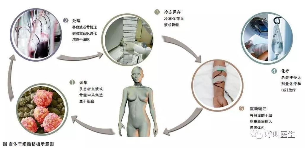 儿子遗传母亲吗(孩子的智商是遗传父亲还是母亲）