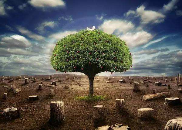 二手烟对备孕中危害(孕期二手烟对胎儿的影响）