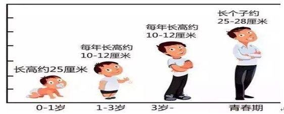 促进儿童骨骼发育的方法有哪些(儿童骨骼发育成熟在几岁)