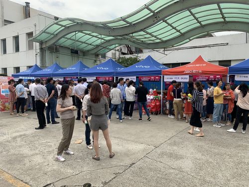 吃什么会促怀孕(备孕吃什么可以促受孕）