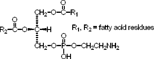吃什么东西容易怀孕(怀孕1一3月禁吃的十大食物）
