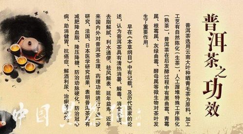 体寒的人可以吃蛇肉吗(夏天吃蛇肉有什么好处)