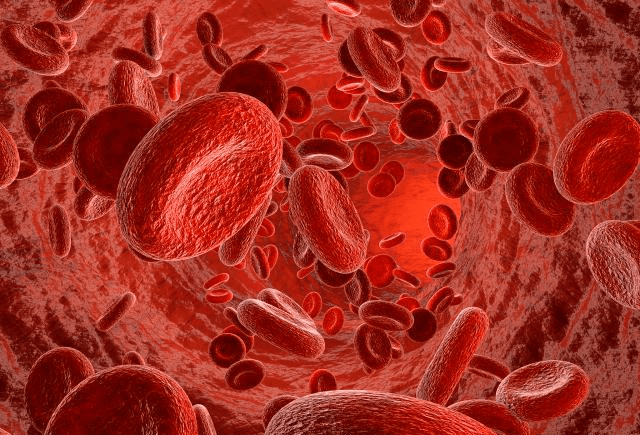 受孕当月染发了怎么办(孕初期染发了,怎么办)