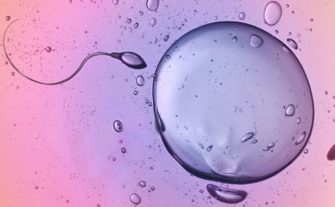 人工受孕一次成功几率(人工受孕精子怀孕机率）