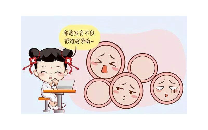 卵子质量不好会导致胎停吗(造成胎停育的六大原因）