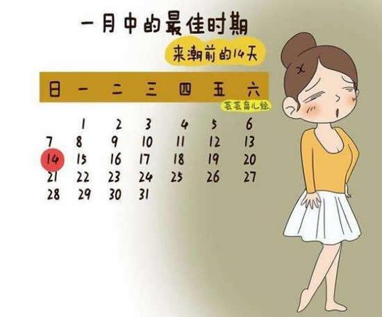 前七后八是安全期还是危险期前七后八是什么意思(排卵期前七后八是指什么时间段）