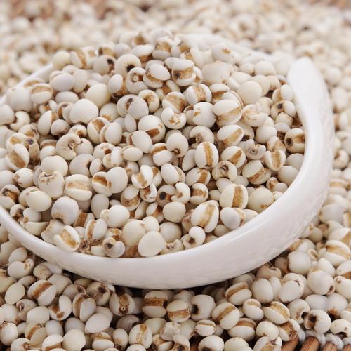 吃薏米影响怀孕吗