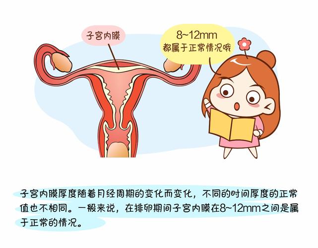 什么样的子宫内膜最利于怀孕？(子宫内膜一般多厚正常可以备孕）
