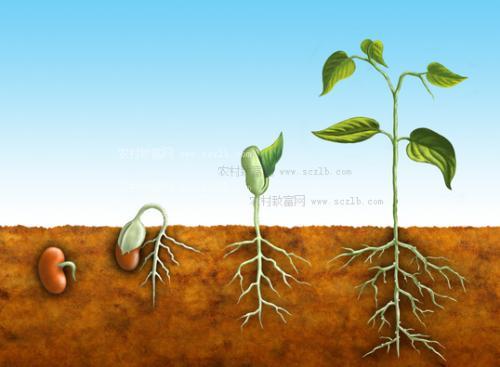 人工授精的明星有哪些这些都非自然受孕(人授和自然受孕有啥区别）