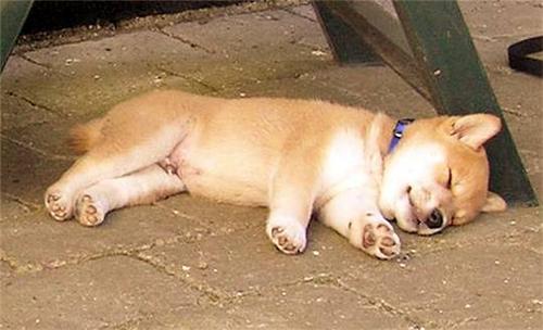 卵子最怕的7件事！(精子卵子结合后怕不怕热）