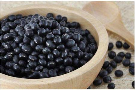 吃黑豆真的可以助孕吗(备孕多吃黑豆容易受孕）