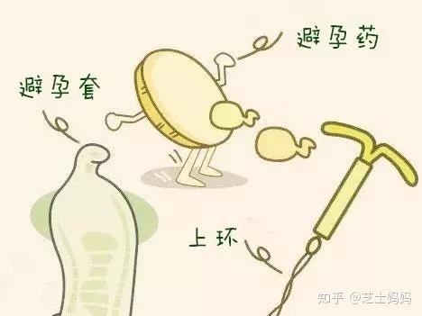节育方法有哪些(宫内节育器的避孕原理）