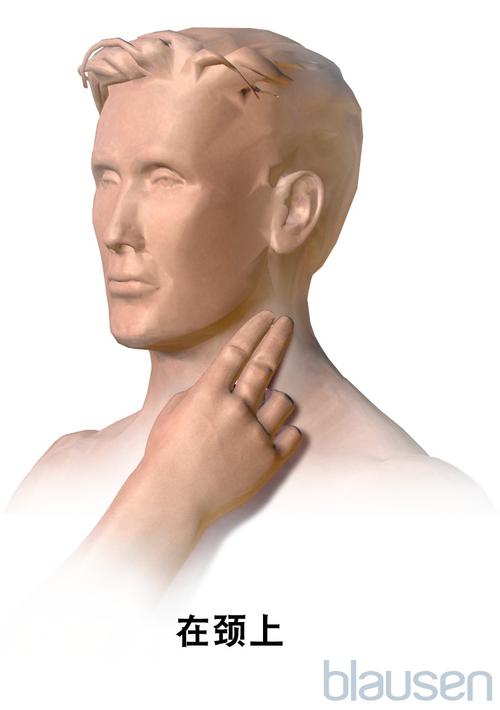 优生遗传二组包括哪些(中国优生与遗传杂志)