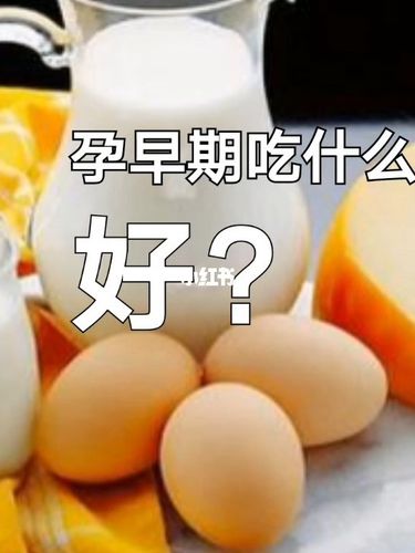 计划怀孕吃什么好(备孕期间可以吃什么比较好）