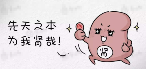 卵巢功能衰退的四种调理方法(怎样调理卵巢功能衰退）