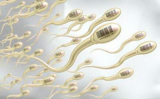 初步认识精液(对建筑的初步认识）