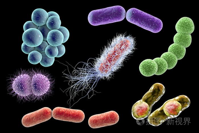 卵泡刺激素高是怎么回事(卵泡刺激素高吃中药可以调理好吗）