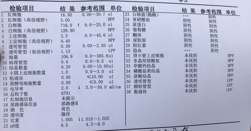 反复流产是什么意思?检查反复流产的五个常见问题(工程资料检查常见问题)