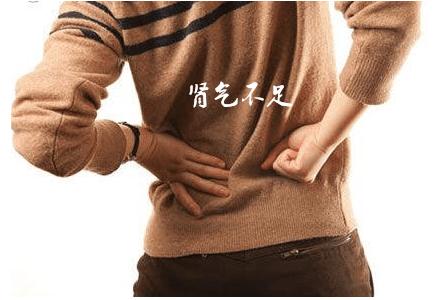 补血补肾的食物有哪些(肾气不足有什么症状）