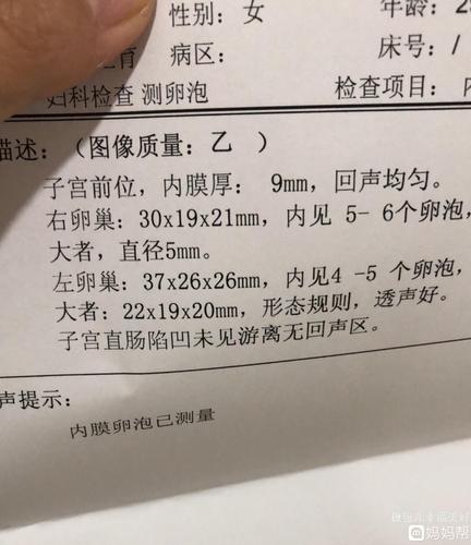 卵泡多少个为正常范围(卵巢基础卵泡数量正常范围）