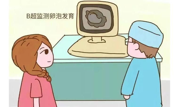 卵泡监测有用吗(为什么要做卵泡监测）