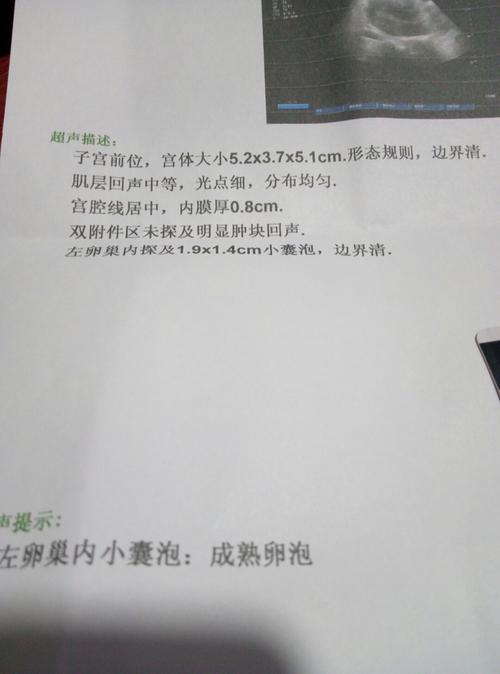 卵泡破了同房生男孩子吗(备孕男性吃什么精子强）